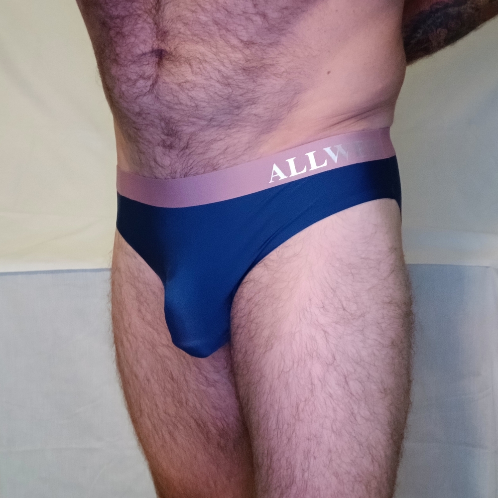 NWT Blue and Pink Silky Smooth Briefs